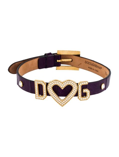 dolce gabbana dog collar